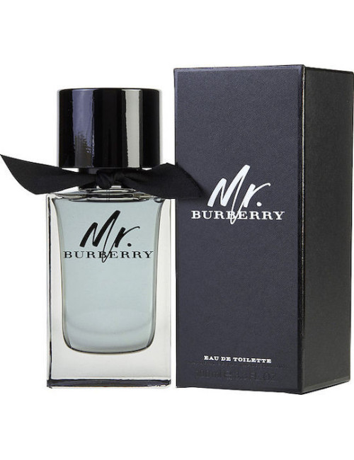 Burberry Mr. Burberry Eau de Toilette 100ml